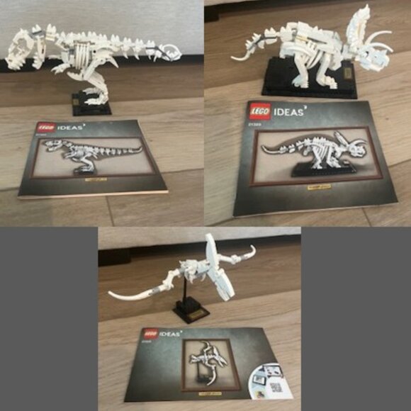 Lego Ideas Dinosaur Fossils 21320 - Picture 1 of 16